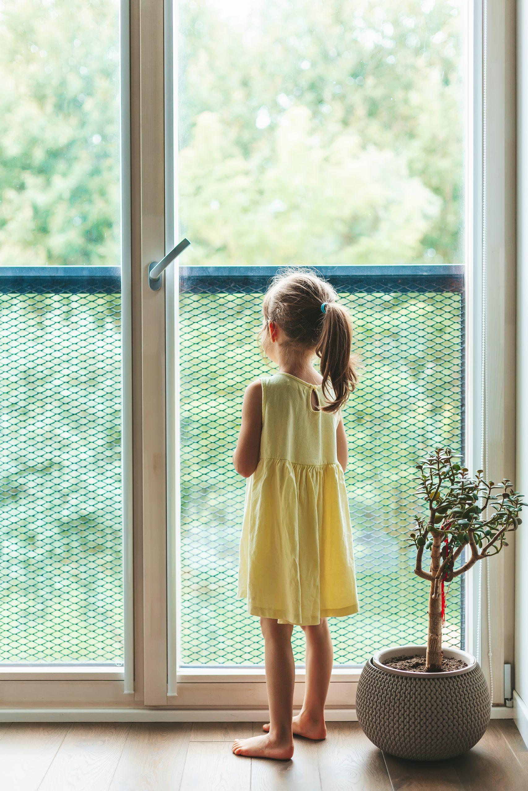 Bug Screen in Chennai – Keep Your Home Insect-Free with SBP Windows’ Premium Mesh Solutions