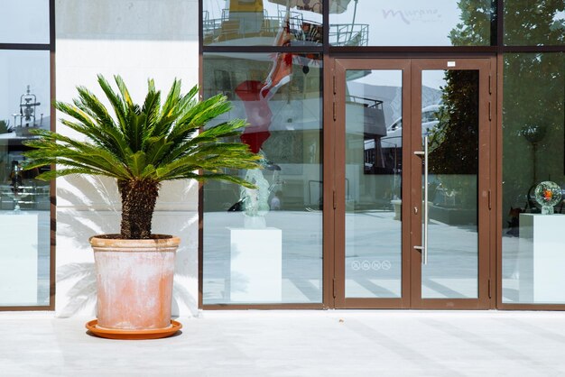 Best uPVC Doors in Chennai: Why SBP Windows Is the Preferred Choice