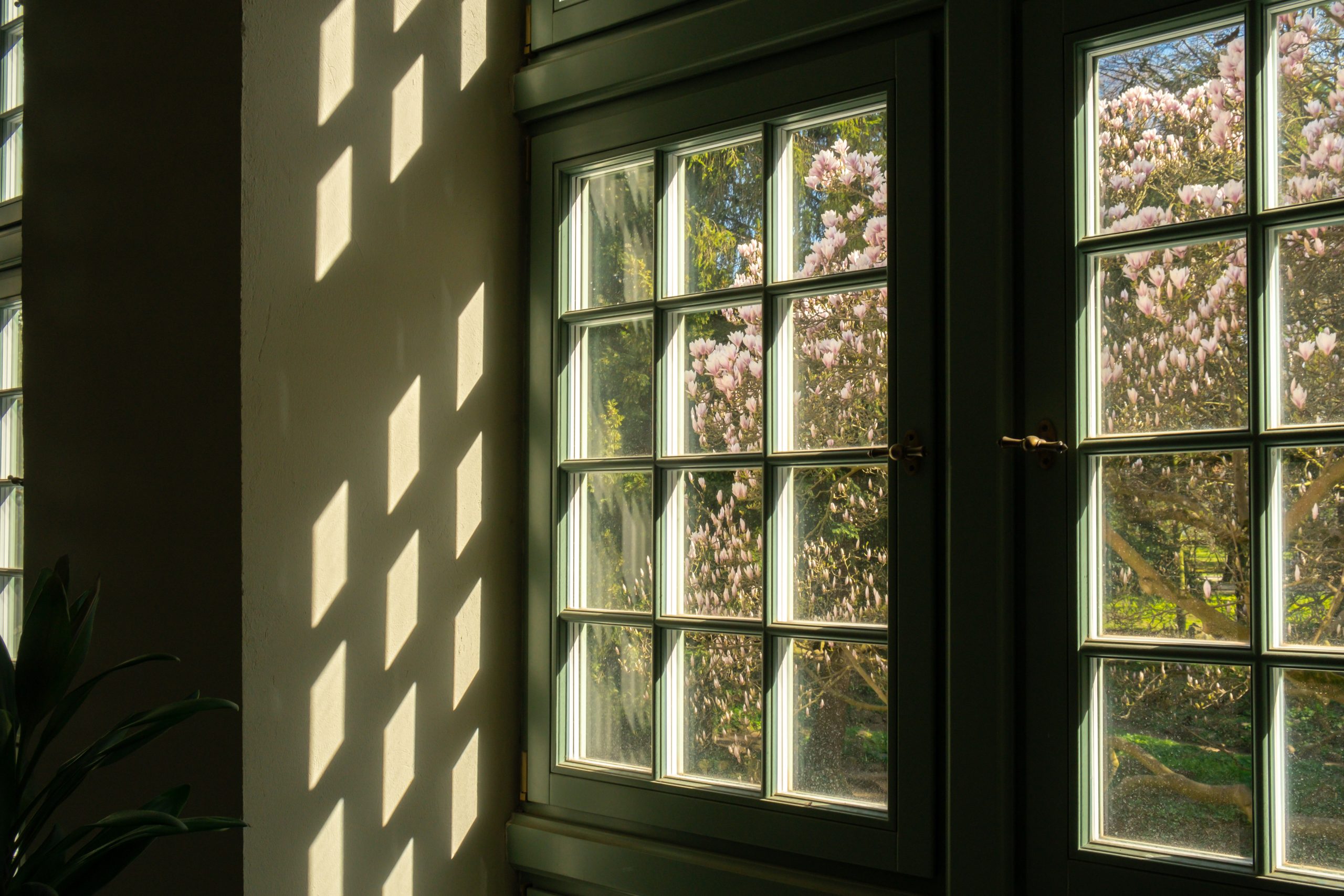 Koemmerling uPVC Window Solutions for Stylish and Energy-Efficient Spaces